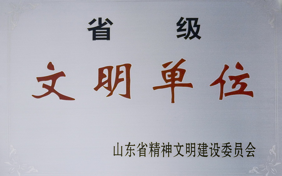 济矿集团获省级文明单位称号.JPG