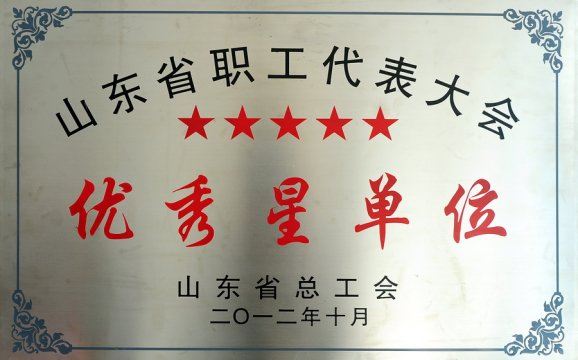 山东省职工代表大会优秀星单位