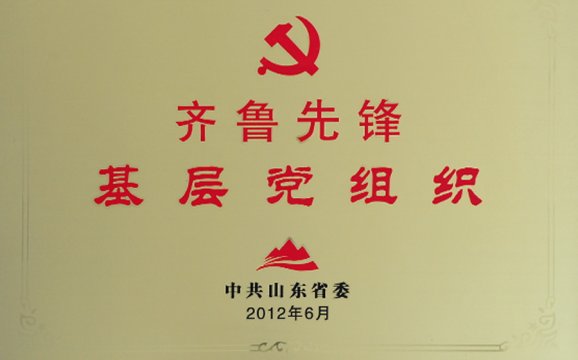 齐鲁先锋基层党组织