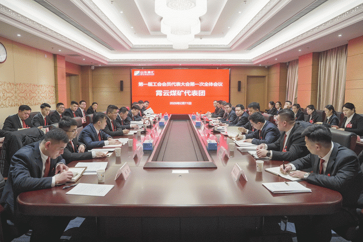 张广宇参加霄云煤矿、煤化园区、物贸代表团分组讨论